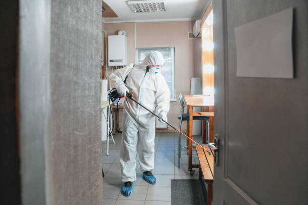Yale, OK Mold Removal Company