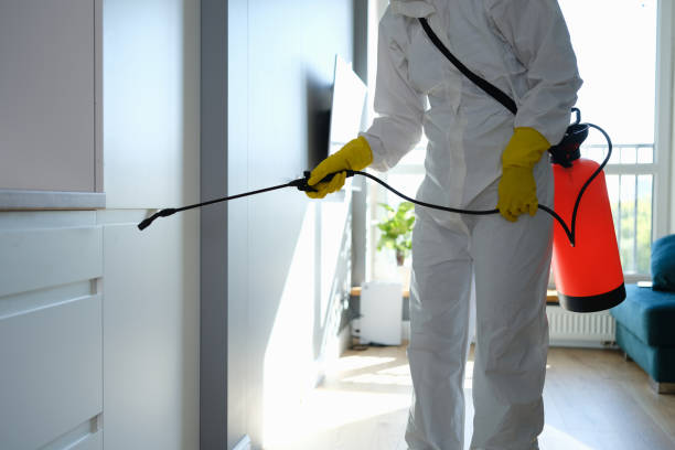 Best Post-Construction Mold Inspection  in Yale, OK